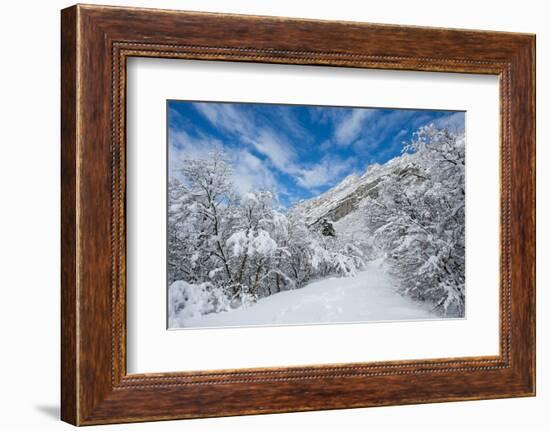 Granite Cliffs at Mouth of Little Cottonwood Canyon and Trees, Utah-Howie Garber-Framed Photographic Print