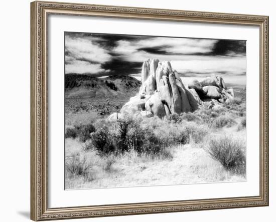 Granite Formation, Joshua Tree National Park, California, USA-Janell Davidson-Framed Photographic Print