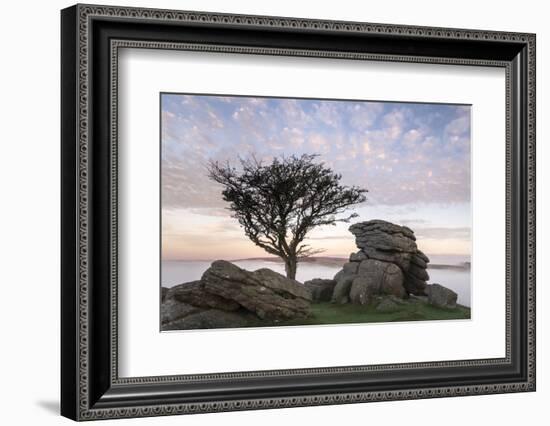 Granite outcrop at Holwell Tor, Dartmoor NP, Devon, UK-Ross Hoddinott-Framed Photographic Print