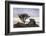 Granite outcrop at Holwell Tor, Dartmoor NP, Devon, UK-Ross Hoddinott-Framed Photographic Print