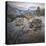 Granite Point-Joe Cornish-Framed Stretched Canvas