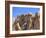 Granite Rock Formations, Joshua Tree National Park, California, Usa-Jamie & Judy Wild-Framed Photographic Print