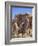 Granite Rock Formations, Joshua Tree National Park, California, Usa-Jamie & Judy Wild-Framed Photographic Print