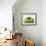 Granny Smith Apple-Dieter Heinemann-Framed Photographic Print displayed on a wall