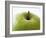 Granny Smith Apple-Dieter Heinemann-Framed Photographic Print