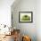 Granny Smith Apple-Dieter Heinemann-Framed Photographic Print displayed on a wall