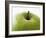 Granny Smith Apple-Dieter Heinemann-Framed Photographic Print