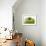 Granny Smith Apple-Dieter Heinemann-Framed Photographic Print displayed on a wall