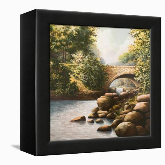 Grant Park-Bruce Nawrocke-Framed Stretched Canvas