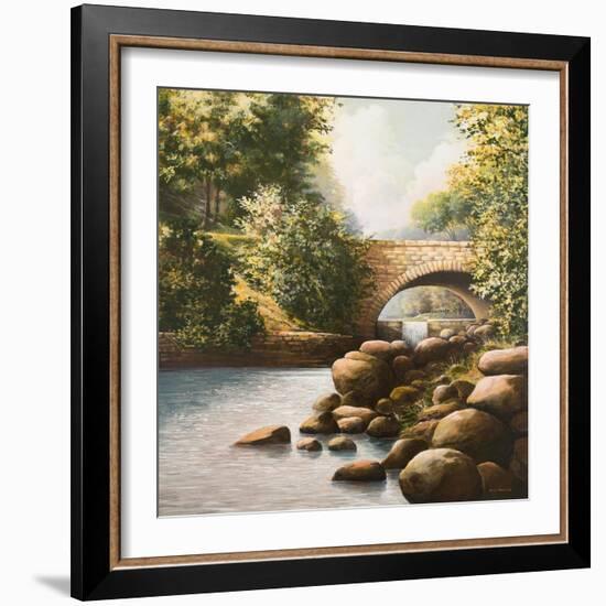 Grant Park-Bruce Nawrocke-Framed Art Print