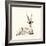 Grant's Gazelle, 2012,-Francesca Sanders-Framed Giclee Print