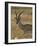 Grant's Gazelle, Masai Mara National Reserve, Kenya, East Africa, Africa-James Hager-Framed Photographic Print