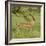 Grant's Gazelle Portrait-Joe McDonald-Framed Photographic Print