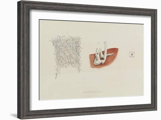 Grantia Botryoides: Sponge-Philip Henry Gosse-Framed Giclee Print