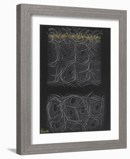 Grantia Sponge-Philip Henry Gosse-Framed Giclee Print