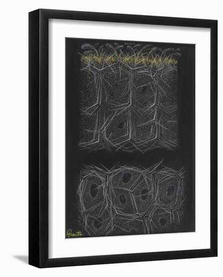 Grantia Sponge-Philip Henry Gosse-Framed Giclee Print