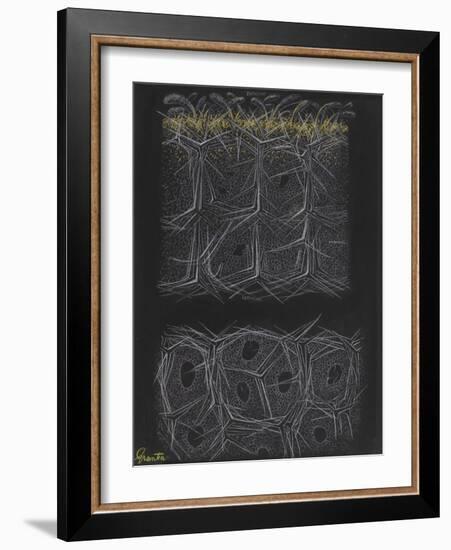 Grantia Sponge-Philip Henry Gosse-Framed Giclee Print