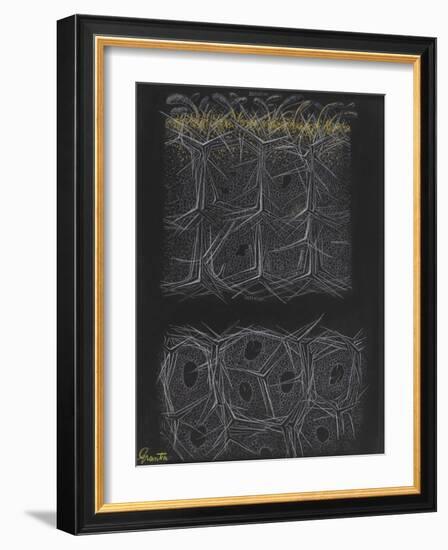 Grantia Sponge-Philip Henry Gosse-Framed Giclee Print