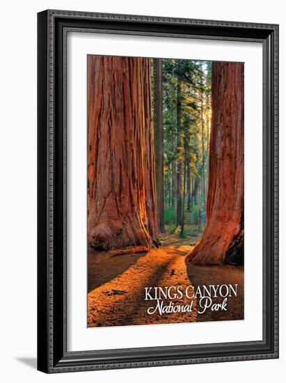 Grants Grove - Kings Canyon National Park, California-Lantern Press-Framed Art Print