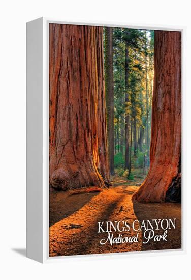 Grants Grove - Kings Canyon National Park, California-Lantern Press-Framed Stretched Canvas