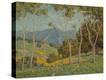 Stretched Canvas Print