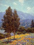 Poppies and Lupines-Granville Redmond-Laminated Art Print