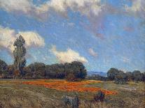 Poppy Fields-Granville Redmond-Framed Stretched Canvas