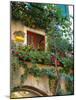 Grape Arbor and Flowers, Lake Garda, Malcesine, Italy-Lisa S^ Engelbrecht-Mounted Photographic Print