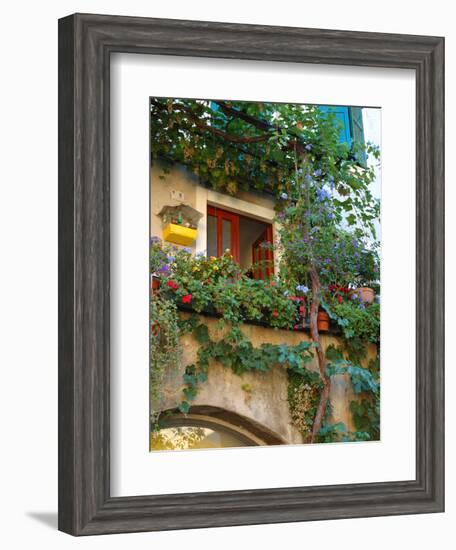 Grape Arbor and Flowers, Lake Garda, Malcesine, Italy-Lisa S^ Engelbrecht-Framed Photographic Print