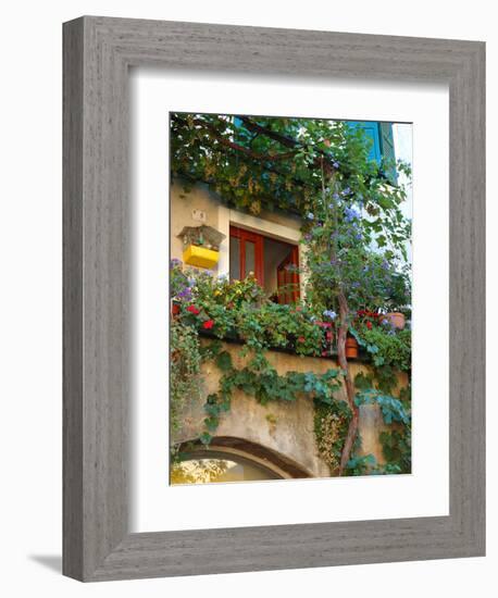 Grape Arbor and Flowers, Lake Garda, Malcesine, Italy-Lisa S^ Engelbrecht-Framed Photographic Print