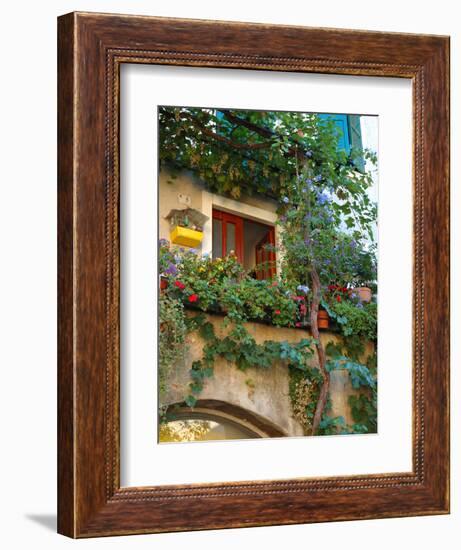 Grape Arbor and Flowers, Lake Garda, Malcesine, Italy-Lisa S^ Engelbrecht-Framed Photographic Print