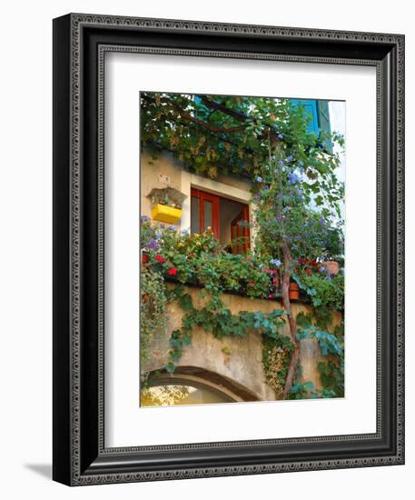 Grape Arbor and Flowers, Lake Garda, Malcesine, Italy-Lisa S^ Engelbrecht-Framed Photographic Print