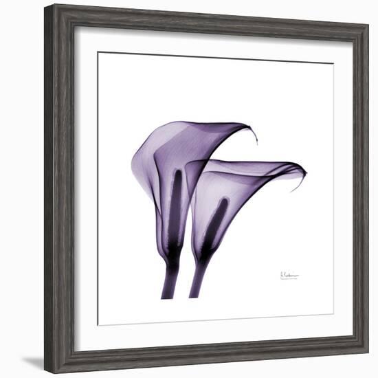 Grape Calla Lilies 2-Albert Koetsier-Framed Premium Giclee Print