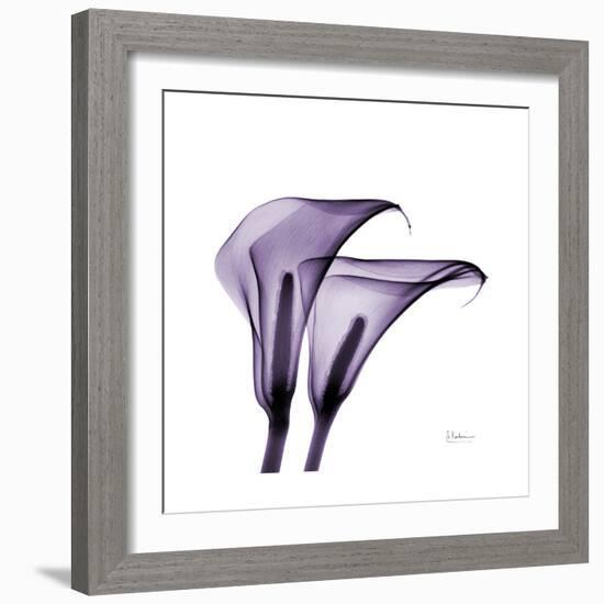 Grape Calla Lilies 2-Albert Koetsier-Framed Premium Giclee Print