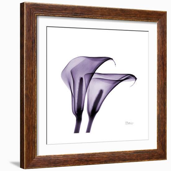 Grape Calla Lilies 2-Albert Koetsier-Framed Premium Giclee Print