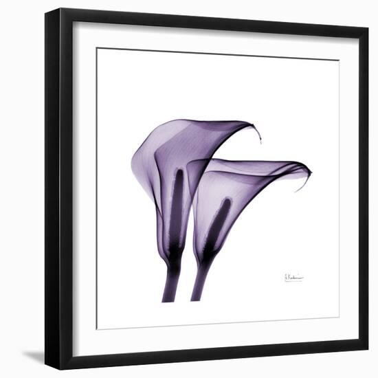 Grape Calla Lilies 2-Albert Koetsier-Framed Premium Giclee Print