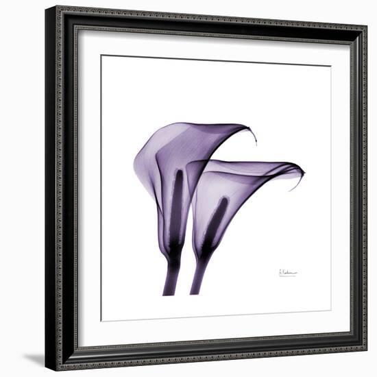 Grape Calla Lilies 2-Albert Koetsier-Framed Premium Giclee Print