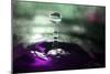 Grape Drink Drop III-Tammy Putman-Mounted Photographic Print