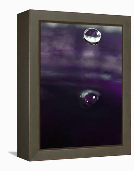 Grape Drink Drop IV-Tammy Putman-Framed Premier Image Canvas