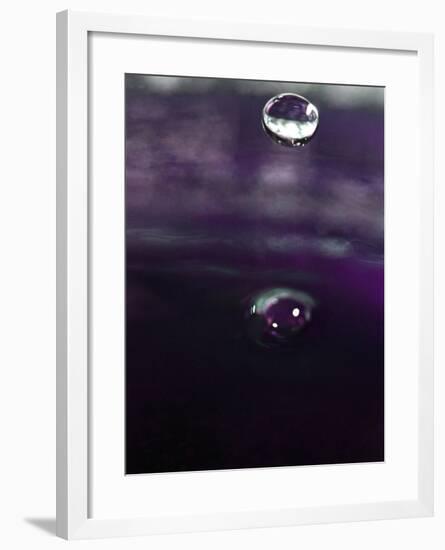 Grape Drink Drop IV-Tammy Putman-Framed Photographic Print