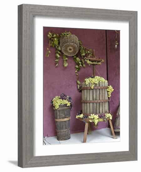 Grape Exhibit on Float, La Festa Dell'Uva, Impruneta, Tuscany, Italy-Adam Jones-Framed Photographic Print