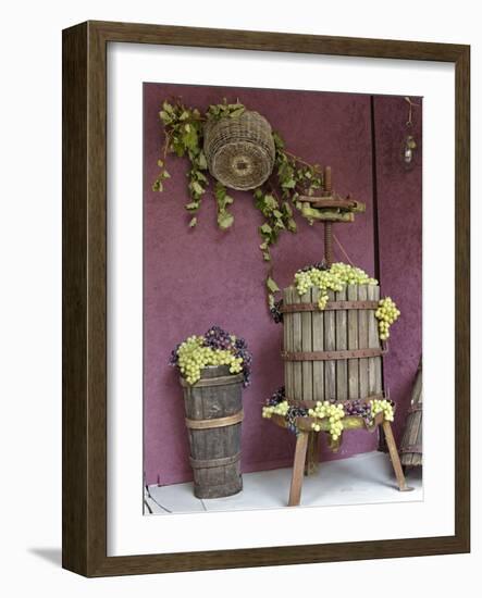 Grape Exhibit on Float, La Festa Dell'Uva, Impruneta, Tuscany, Italy-Adam Jones-Framed Photographic Print