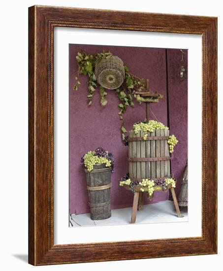 Grape Exhibit on Float, La Festa Dell'Uva, Impruneta, Tuscany, Italy-Adam Jones-Framed Photographic Print