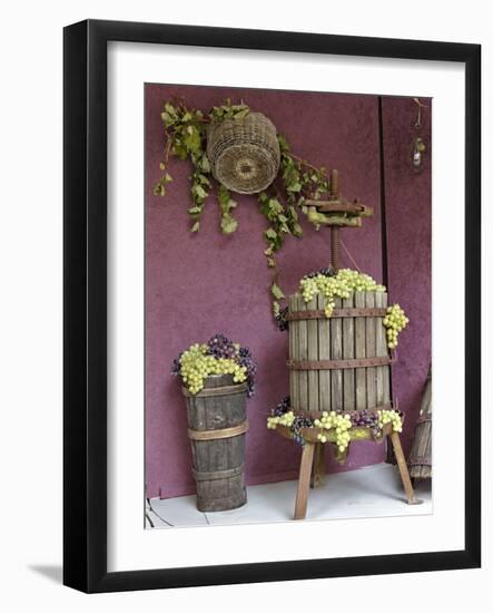 Grape Exhibit on Float, La Festa Dell'Uva, Impruneta, Tuscany, Italy-Adam Jones-Framed Photographic Print