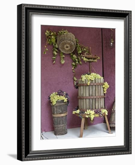 Grape Exhibit on Float, La Festa Dell'Uva, Impruneta, Tuscany, Italy-Adam Jones-Framed Photographic Print