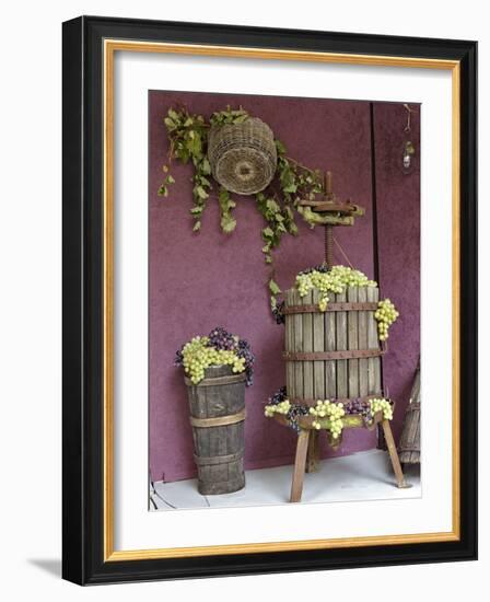 Grape Exhibit on Float, La Festa Dell'Uva, Impruneta, Tuscany, Italy-Adam Jones-Framed Photographic Print