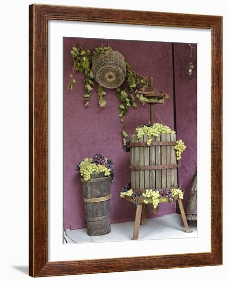 Grape Exhibit on Float, La Festa Dell'Uva, Impruneta, Tuscany, Italy-Adam Jones-Framed Photographic Print