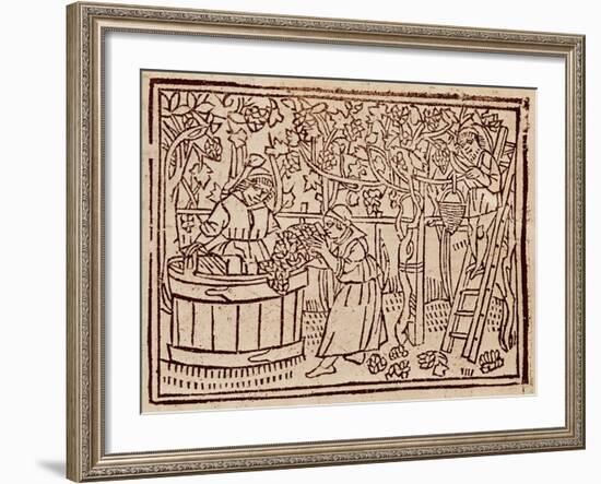 Grape Harvest and Pressing from De Agricultura Vulgare-null-Framed Giclee Print