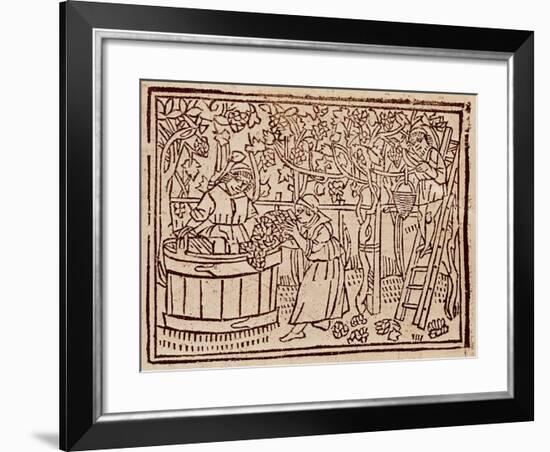 Grape Harvest and Pressing from De Agricultura Vulgare-null-Framed Giclee Print
