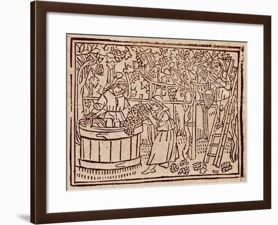 Grape Harvest and Pressing from De Agricultura Vulgare-null-Framed Giclee Print